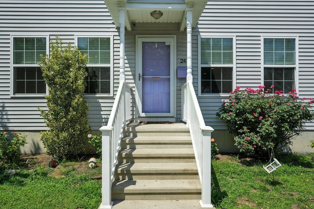 24 Porter Street Springfield, MA 01104 - Photo 5 of 42 a front view of a house with plants and garden