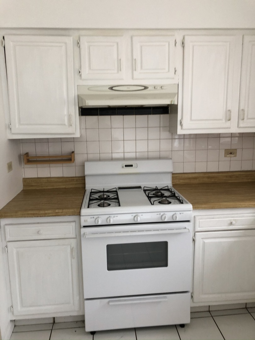 369 East Rimini Court, Unit 369 Palatine, IL 60067 - Photo 14 of 16
