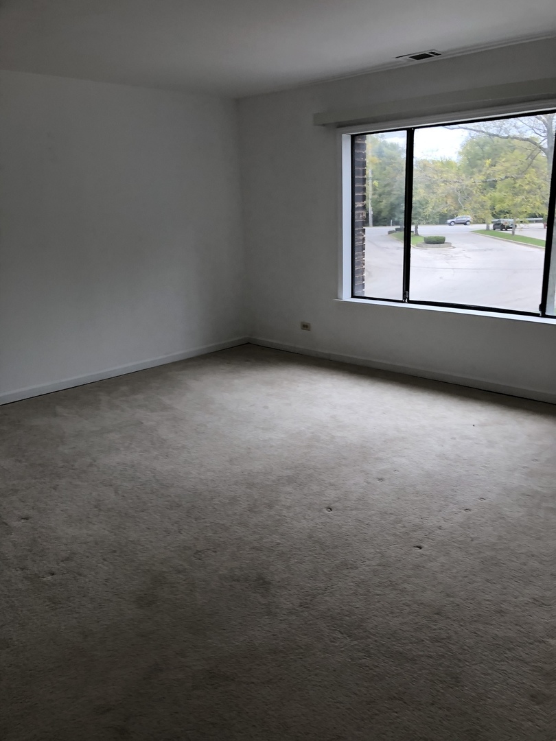 369 East Rimini Court, Unit 369 Palatine, IL 60067 - Photo 5 of 16
