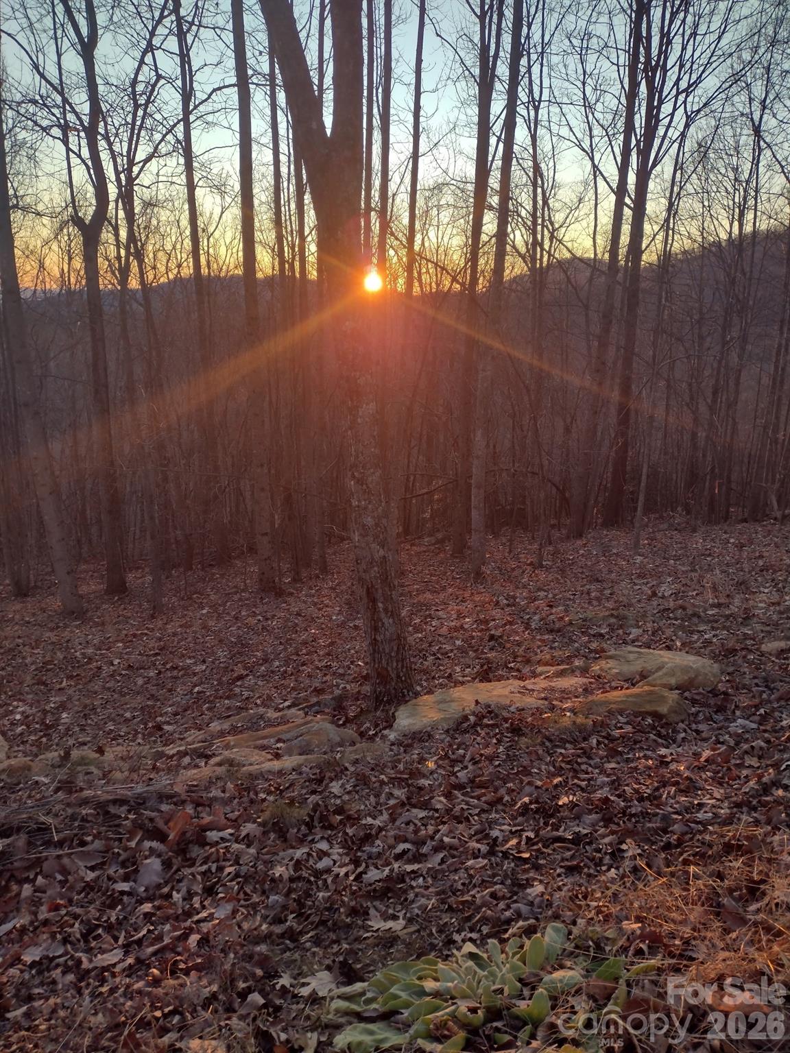 293 Dogwood Road Moravian Falls, NC 28654 - Photo 12 of 13 a view of a backyard of the house