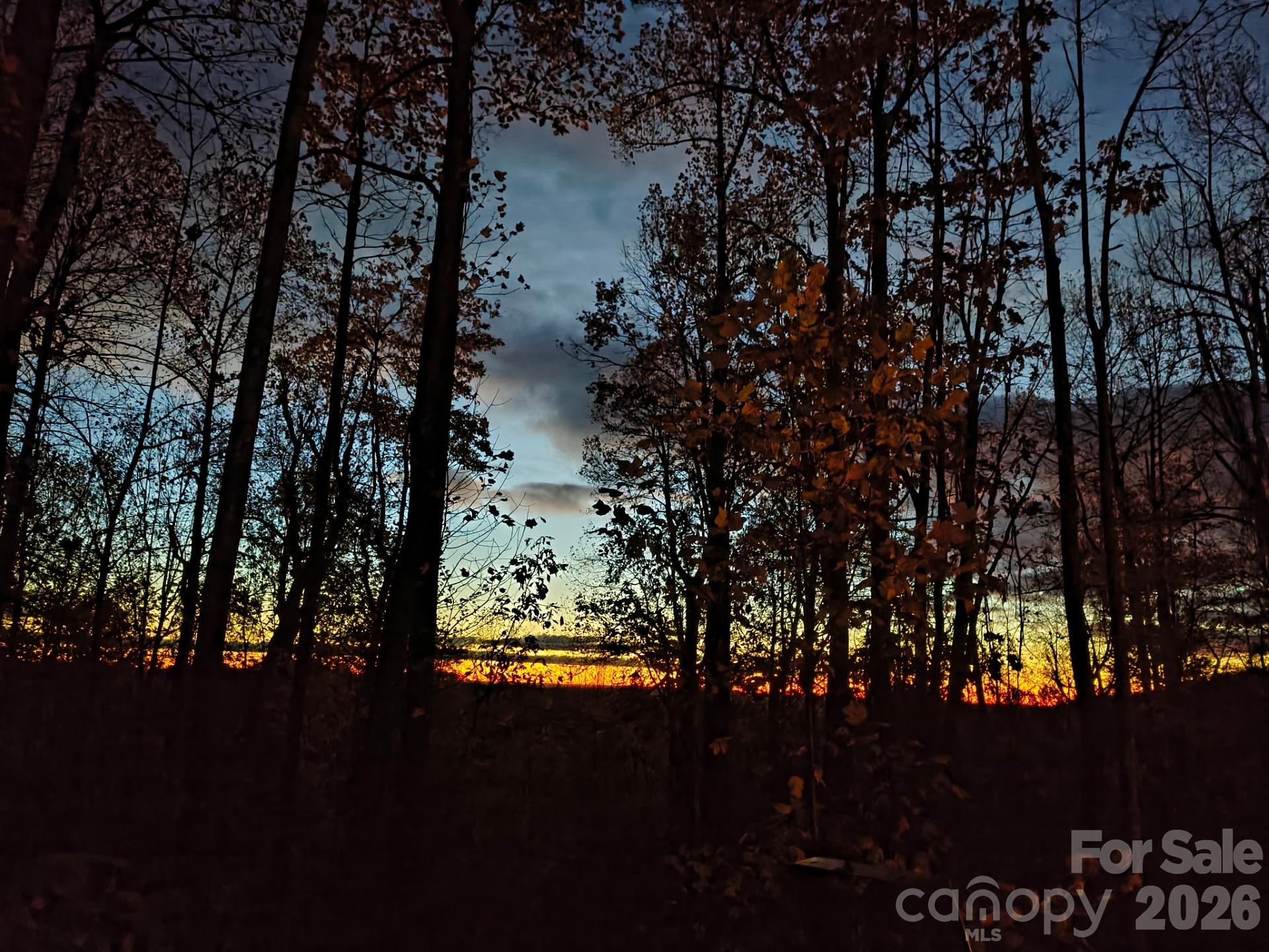 293 Dogwood Road Moravian Falls, NC 28654 - Photo 13 of 13 a view of a yard in front of the house