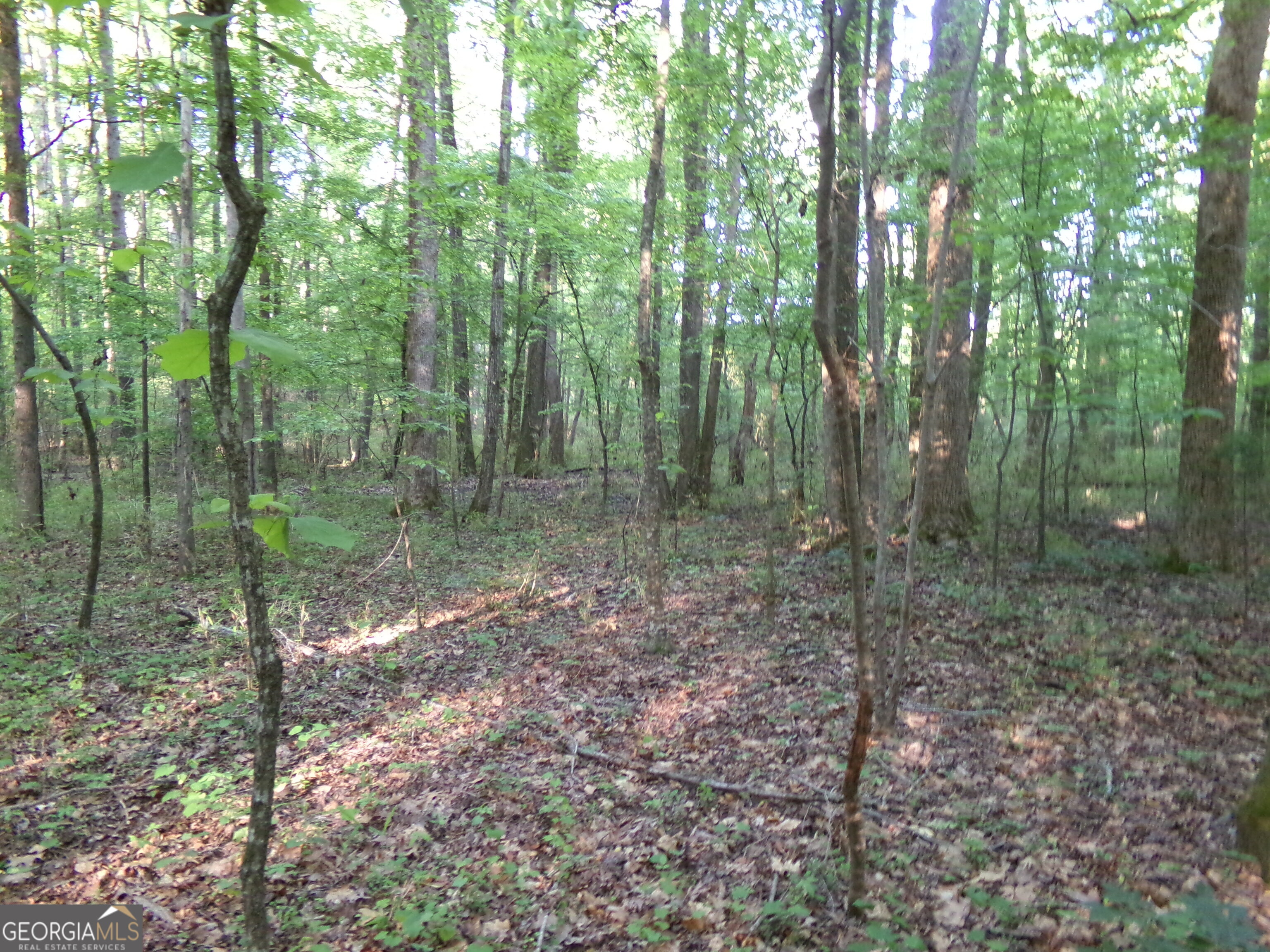 3905 Highway 138 Covington, GA 30014 - Photo 26 of 40