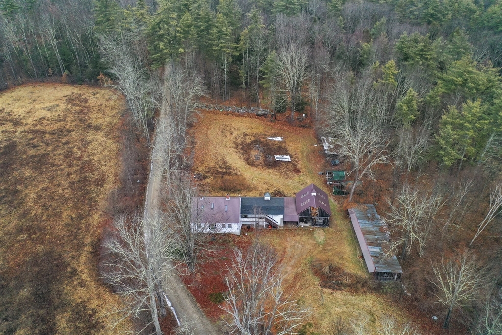 56 Pine Hill Road Orange, MA 01364 - Photo 26 of 30 a view of a yard with a tree
