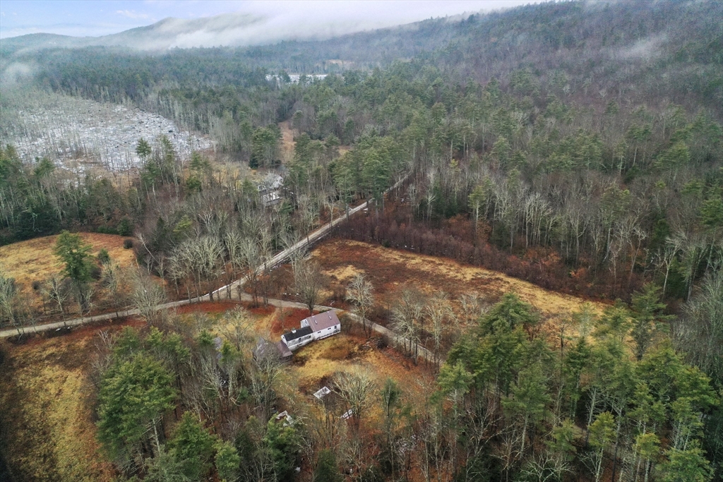 56 Pine Hill Road Orange, MA 01364 - Photo 28 of 30 a view of a forest with a forest