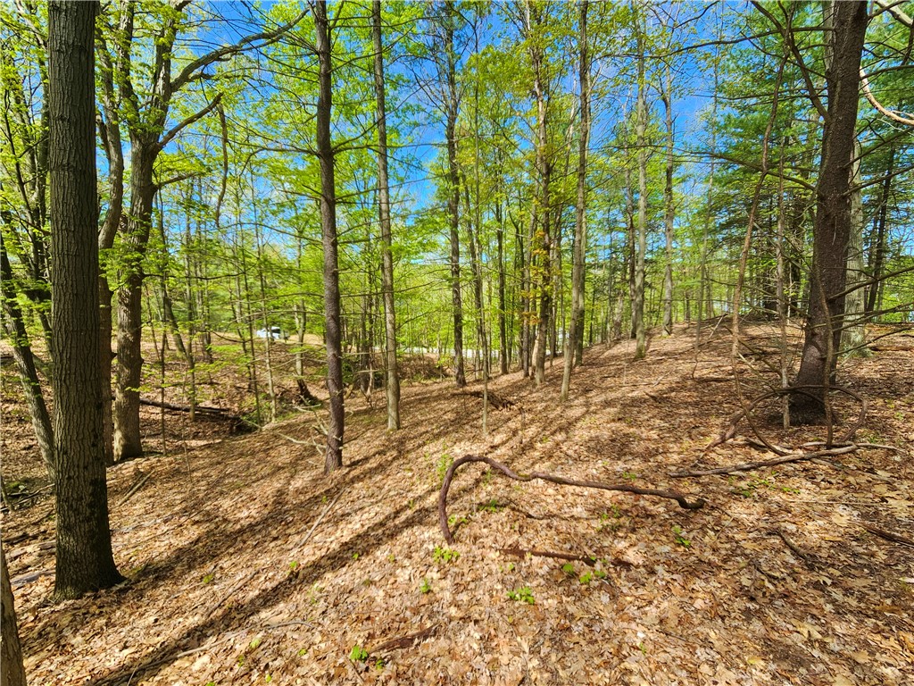 613 East Lake Road Penn Yan, NY 14527 - Photo 17 of 35