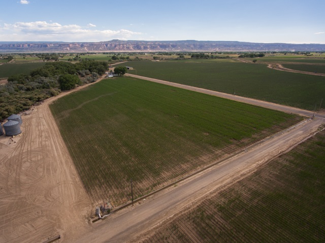 1280 20 Road Fruita, CO 81521 - Photo 12 of 41 a view of a lake from a balcony