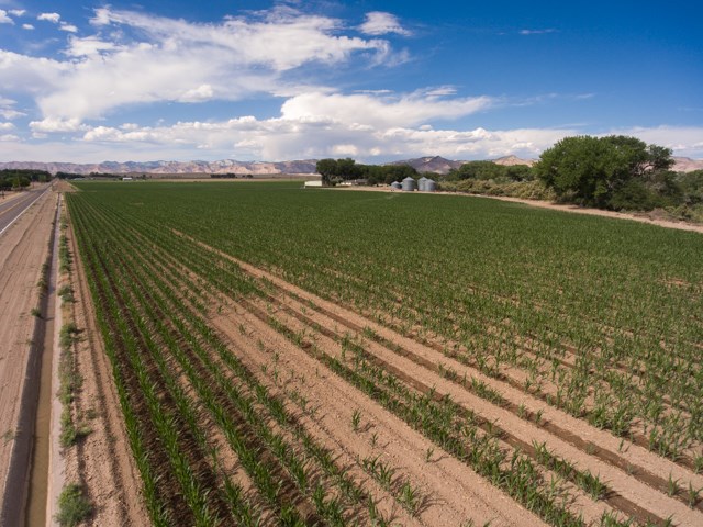 1280 20 Road Fruita, CO 81521 - Photo 16 of 41 a view of an outdoor space and a lake view