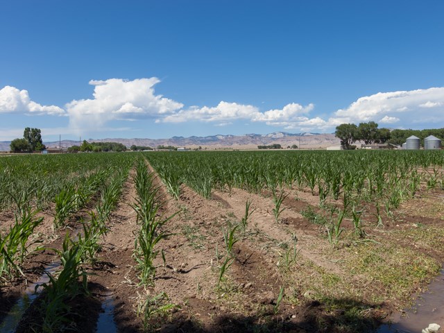 1280 20 Road Fruita, CO 81521 - Photo 18 of 41 a view of lake with green space