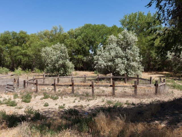 1280 20 Road Fruita, CO 81521 - Photo 19 of 41 a view of a yard with trees