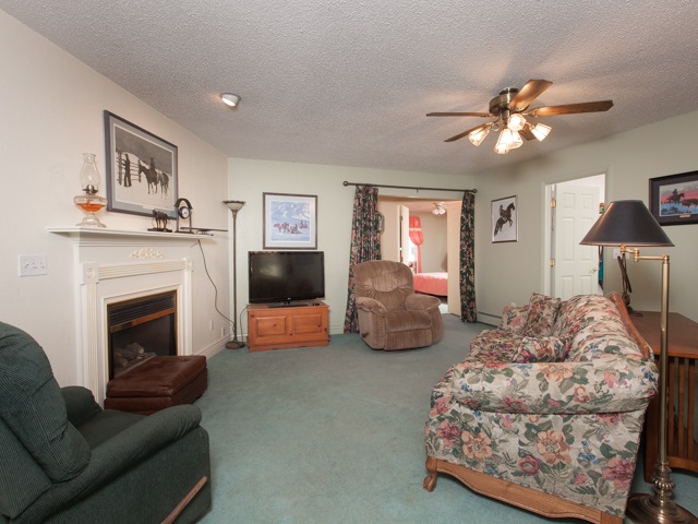 1280 20 Road Fruita, CO 81521 - Photo 20 of 41 a living room with furniture and a fireplace