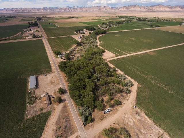 1280 20 Road Fruita, CO 81521 - Photo 8 of 41 a view of a lake with a mountain