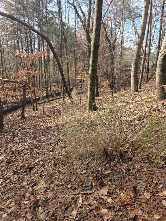 3524 Lake Ridge Drive Gainesville, GA 30506 - Photo 5 of 8 a view of snow on the side of a road