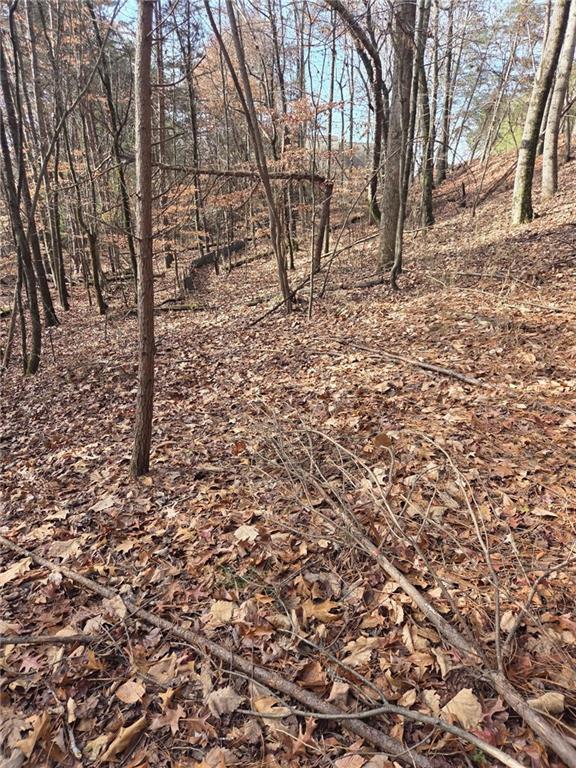 3524 Lake Ridge Drive Gainesville, GA 30506 - Photo 6 of 8 a view of covered with snow