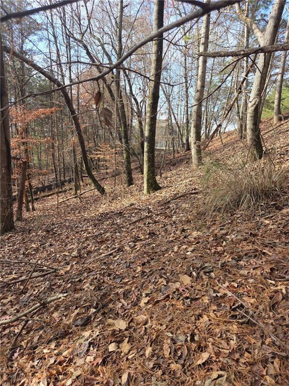 3524 Lake Ridge Drive Gainesville, GA 30506 - Photo 7 of 8 a backyard of a house with lots of green space