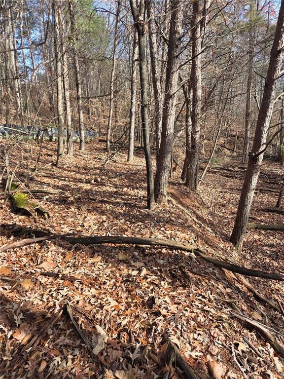 3524 Lake Ridge Drive Gainesville, GA 30506 - Photo 8 of 8 a view of empty room with large trees