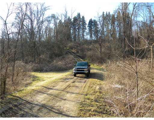 1122 Paintertown Road Irwin, PA 15642 - Photo 1 of 8 Land. View from the road toward stream which is in the foreground of the trucks location. Former homesite was beyond tall pines at crest of hill.