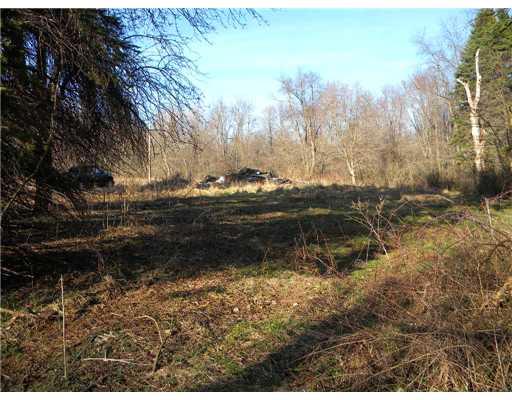 1122 Paintertown Road Irwin, PA 15642 - Photo 2 of 8 Land. Rubble pile was former homesite just beyond tall pines in 1st photo.