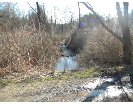 1122 Paintertown Road Irwin, PA 15642 - Photo 3 of 8 Land. Stream in the front of property.