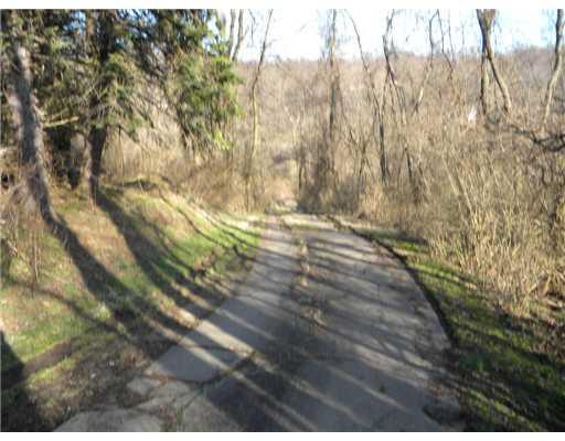 1122 Paintertown Road Irwin, PA 15642 - Photo 5 of 8 Land. Driveway about 400 feet from road before grade to stream.
