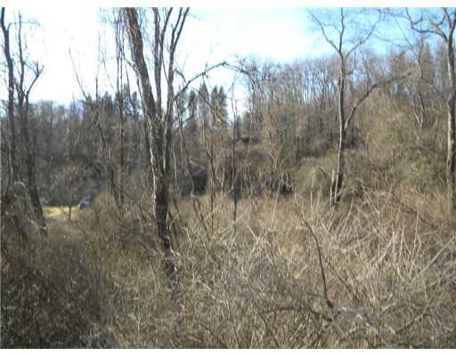 1122 Paintertown Road Irwin, PA 15642 - Photo 6 of 8 Land. View from the road at right front corner property line is to the right of the tall pines.