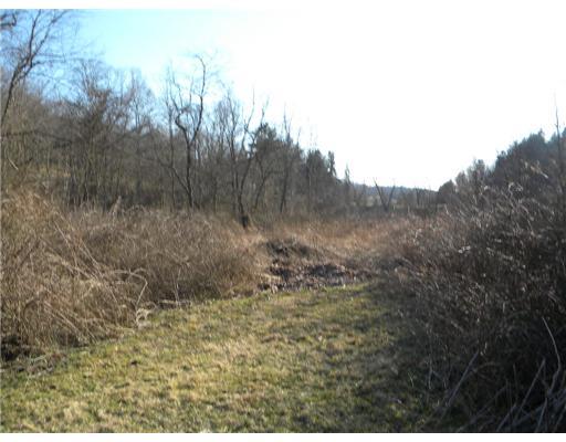 1122 Paintertown Road Irwin, PA 15642 - Photo 7 of 8 Land. Lower level just beyond stream.