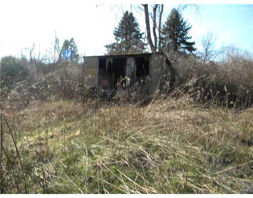 1122 Paintertown Road Irwin, PA 15642 - Photo 8 of 8 Land. Former pony shed looking toward the subdivided 1 acre parcel.