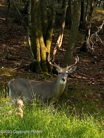 $15,000 | Lot 2-3 Nadine Road, White Haven, PA 18661