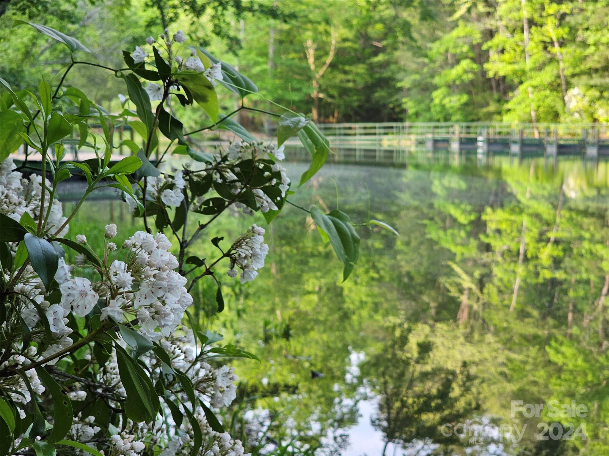 Tbd Tbd Parkway Rd Mill Spring Mill Spring, NC 28756 - Photo 16 of 36 a view of lake with a small yard