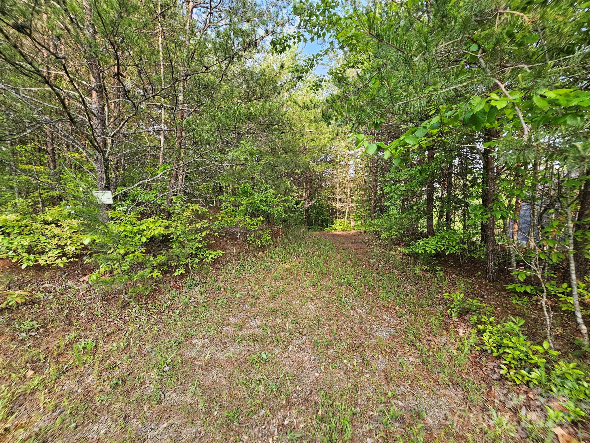 Tbd Tbd Parkway Rd Mill Spring Mill Spring, NC 28756 - Photo 20 of 36 a view of a yard with a tree