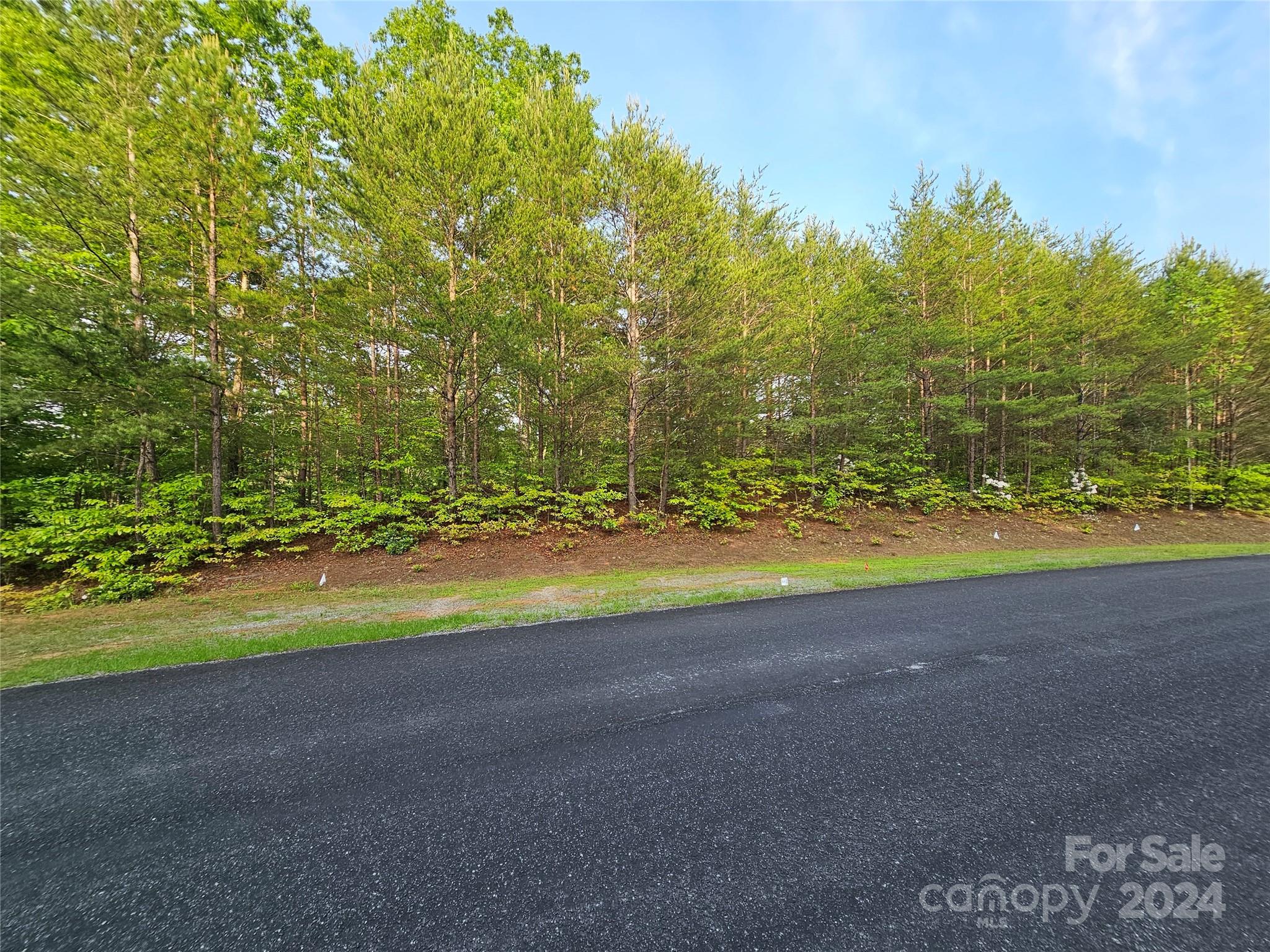 Tbd Tbd Parkway Rd Mill Spring Mill Spring, NC 28756 - Photo 21 of 36 a view of a field with an trees