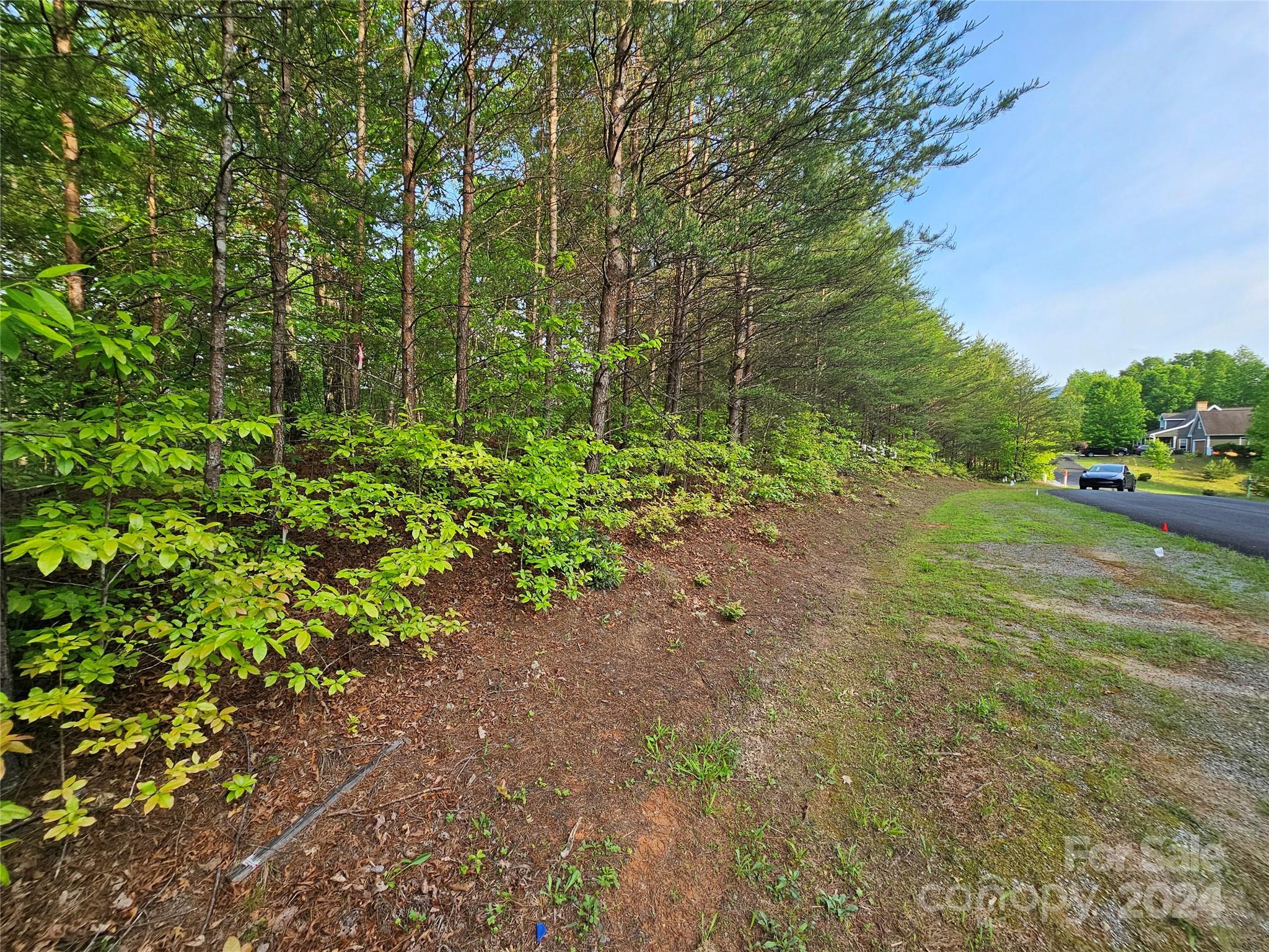 Tbd Tbd Parkway Rd Mill Spring Mill Spring, NC 28756 - Photo 25 of 36 a backyard of a house with lots of green space