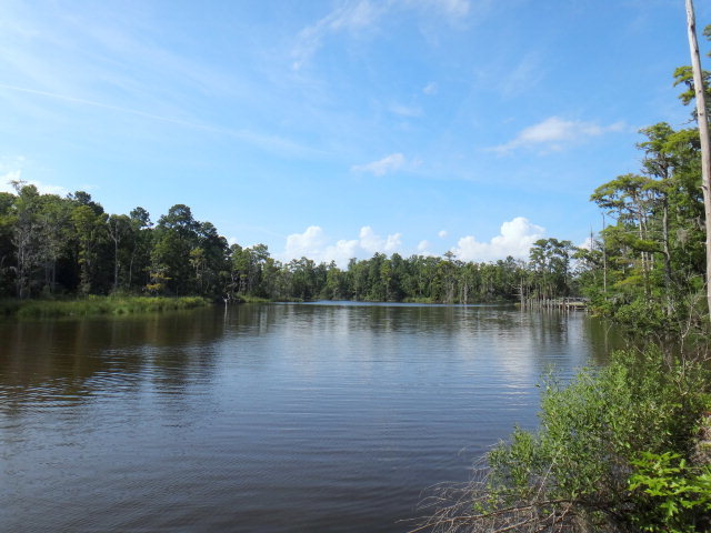 61 Long Point Road Chocowinity, NC 27817 - Photo 1 of 4 Primary Photo