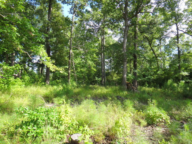61 Long Point Road Chocowinity, NC 27817 - Photo 2 of 4 Additional Photo