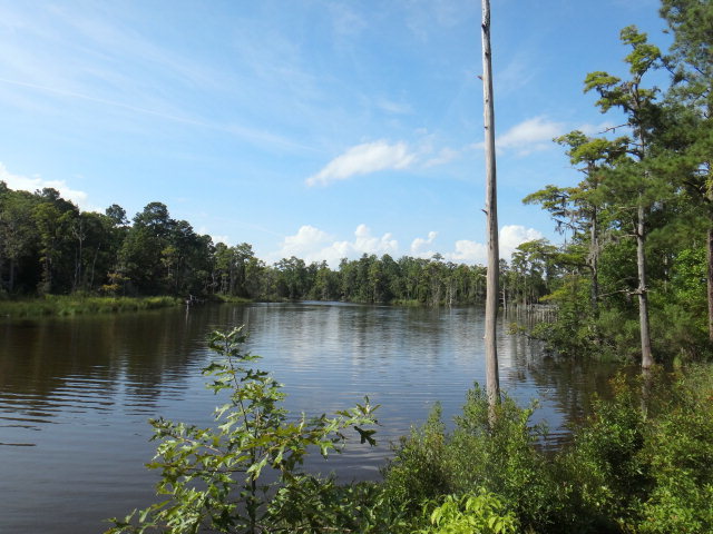 61 Long Point Road Chocowinity, NC 27817 - Photo 3 of 4 Additional Photo