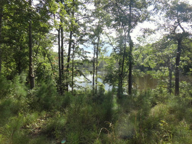 61 Long Point Road Chocowinity, NC 27817 - Photo 4 of 4 Additional Photo