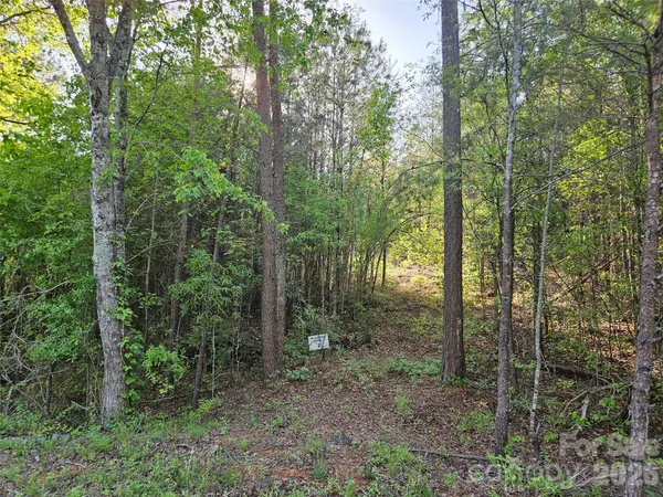 $40,000 | 0 Old Hollis Road, Unit 2, Ellenboro, NC 28040