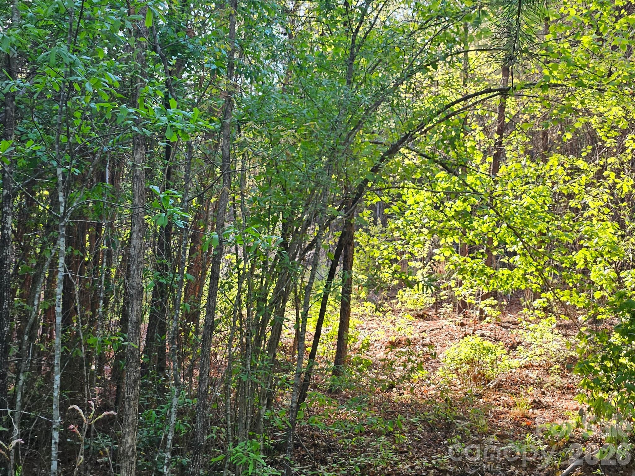 0 Old Hollis Road, Unit 2 Ellenboro, NC 28040 - Photo 11 of 15