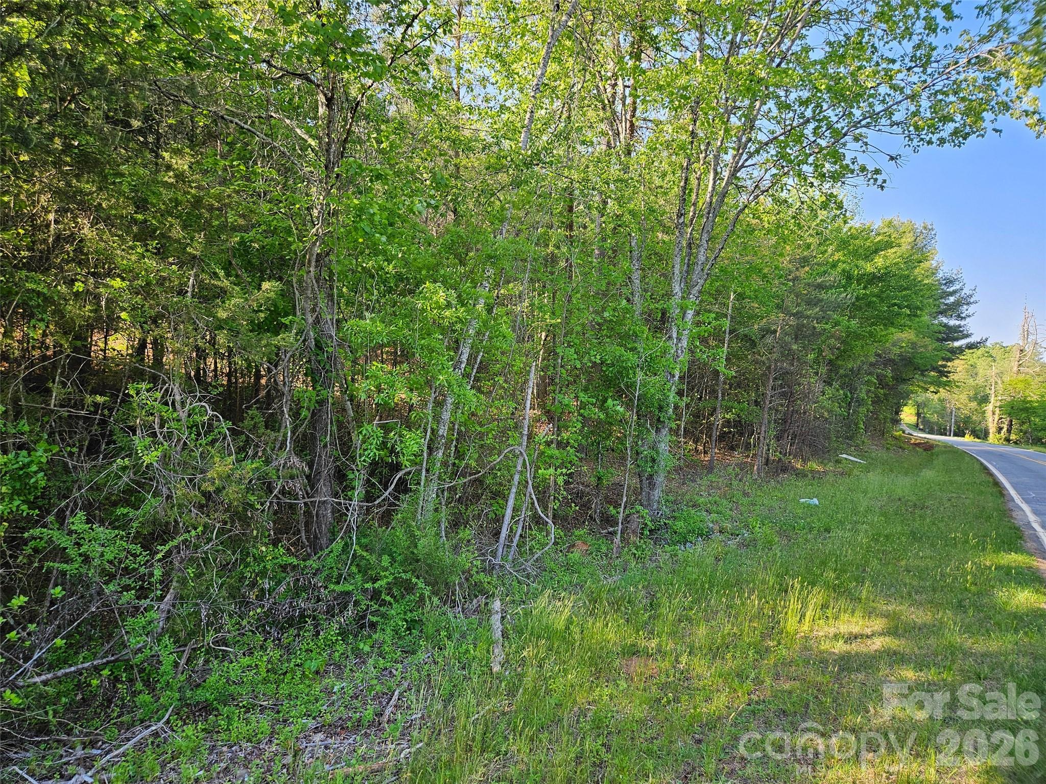 0 Old Hollis Road, Unit 2 Ellenboro, NC 28040 - Photo 12 of 15