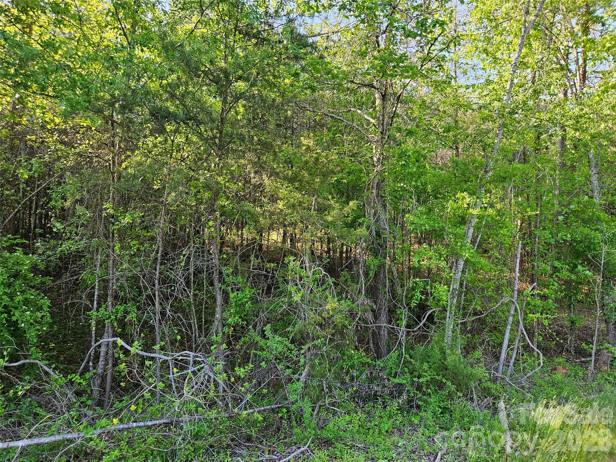 0 Old Hollis Road, Unit 2 Ellenboro, NC 28040 - Photo 13 of 15