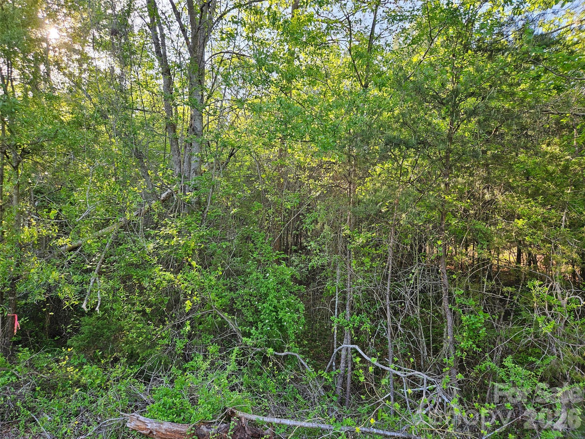 0 Old Hollis Road, Unit 2 Ellenboro, NC 28040 - Photo 14 of 15