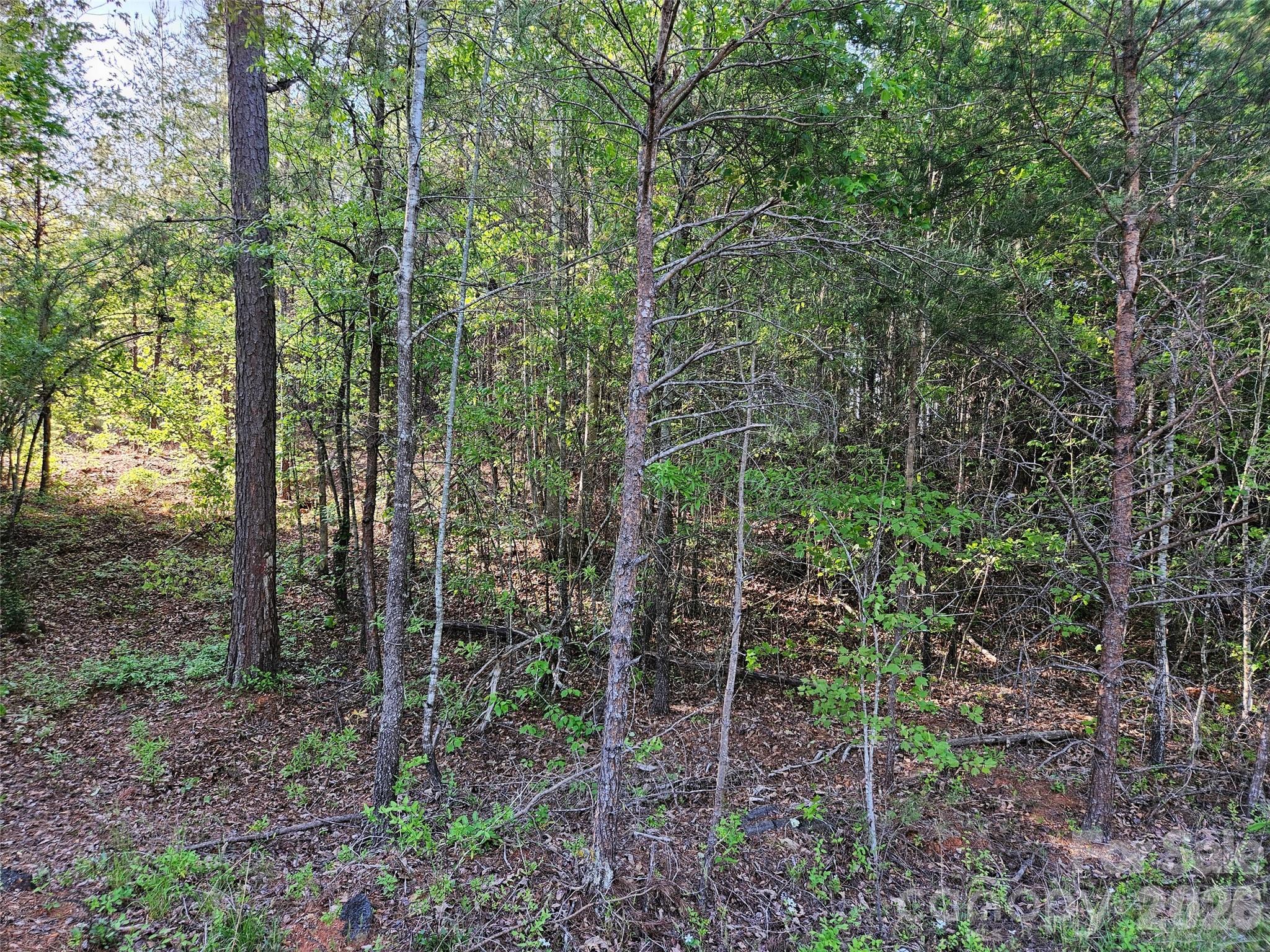 0 Old Hollis Road, Unit 2 Ellenboro, NC 28040 - Photo 15 of 15