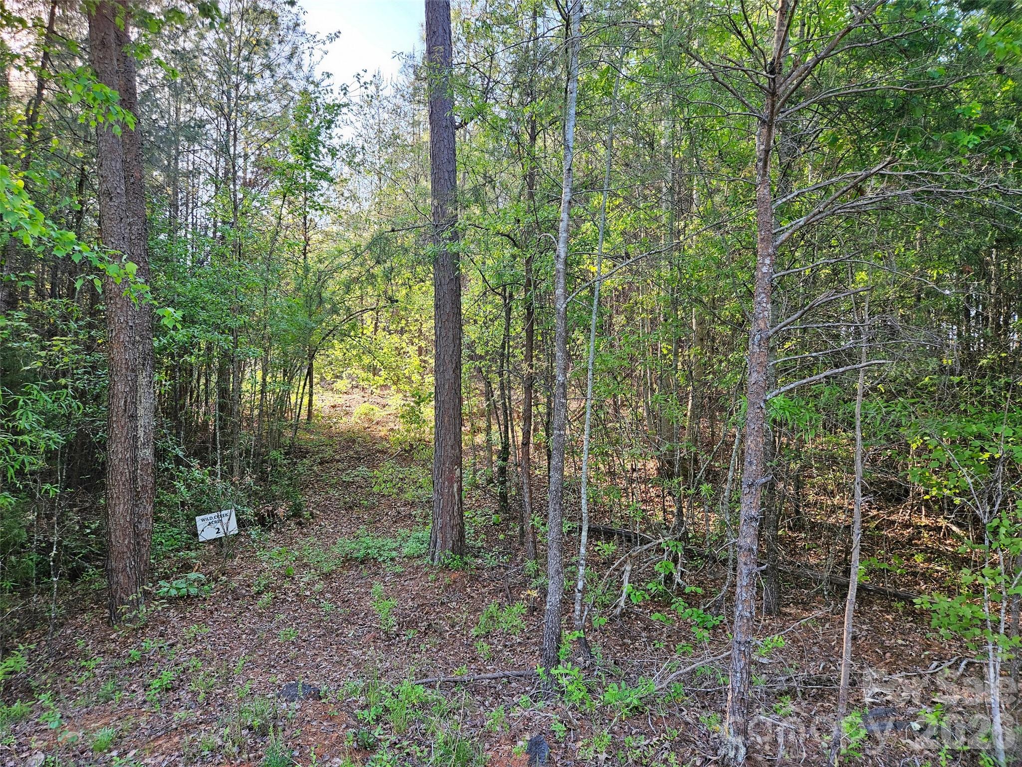 0 Old Hollis Road, Unit 2 Ellenboro, NC 28040 - Photo 2 of 15