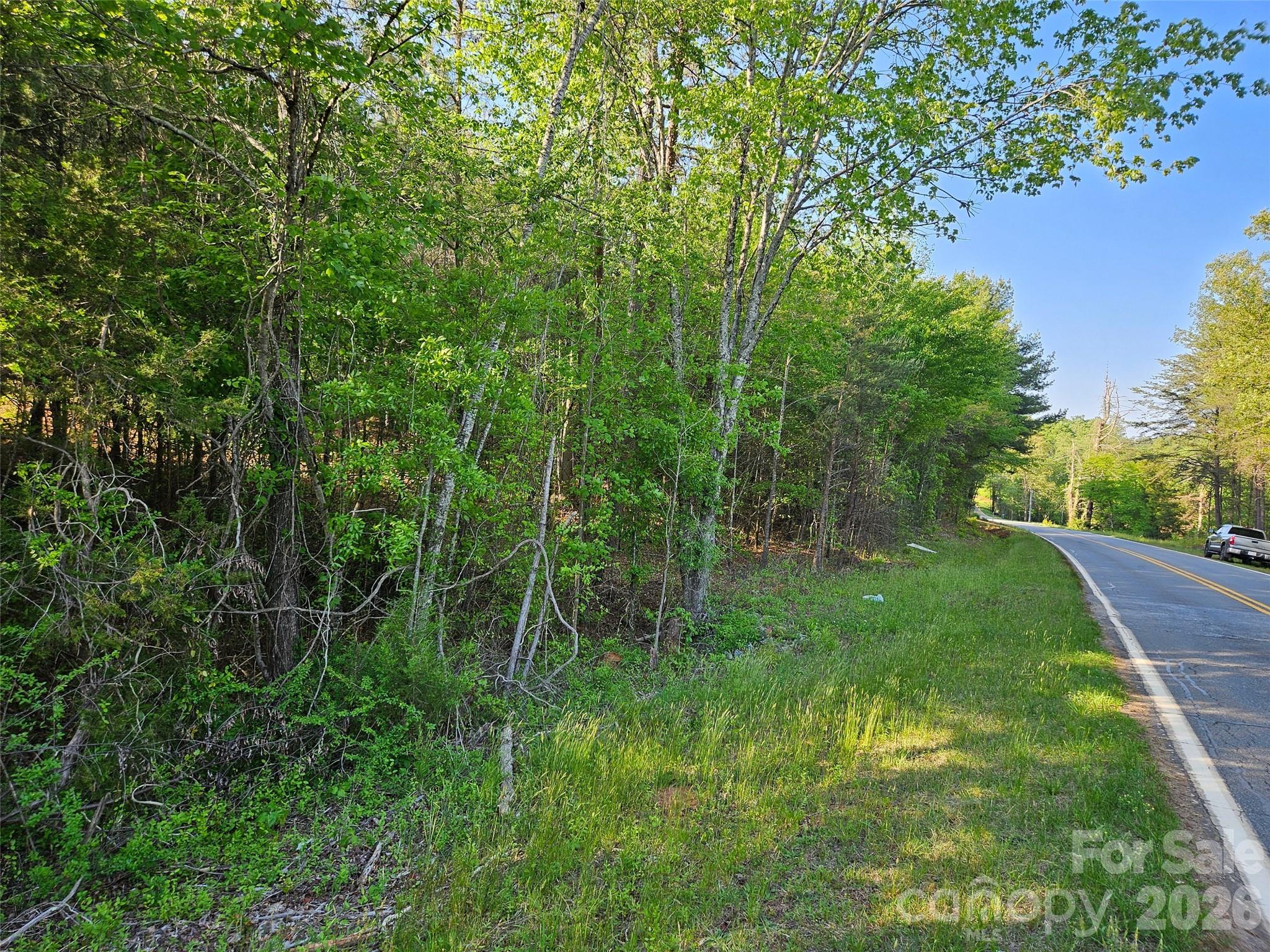 0 Old Hollis Road, Unit 2 Ellenboro, NC 28040 - Photo 4 of 15