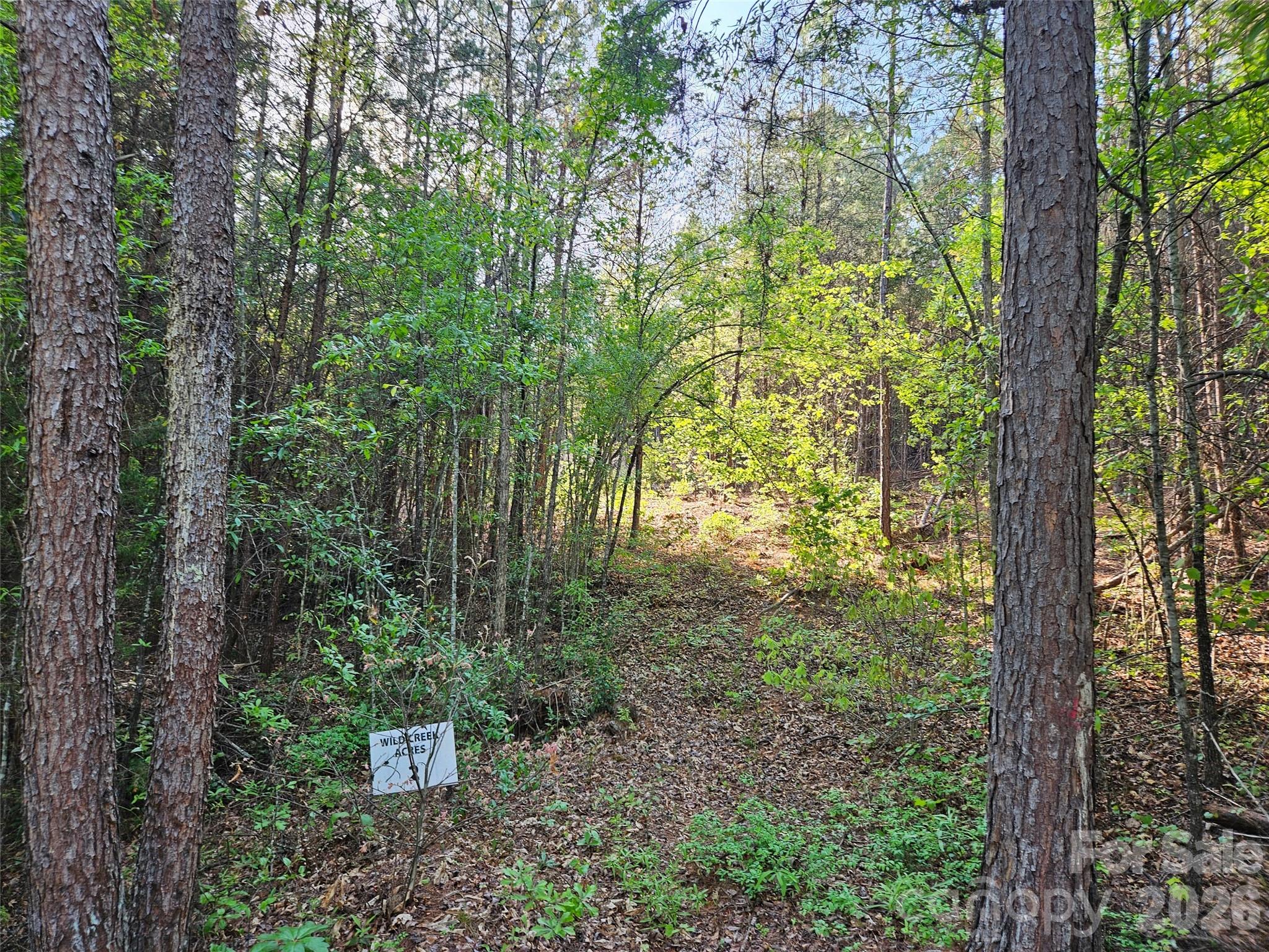 0 Old Hollis Road, Unit 2 Ellenboro, NC 28040 - Photo 5 of 15