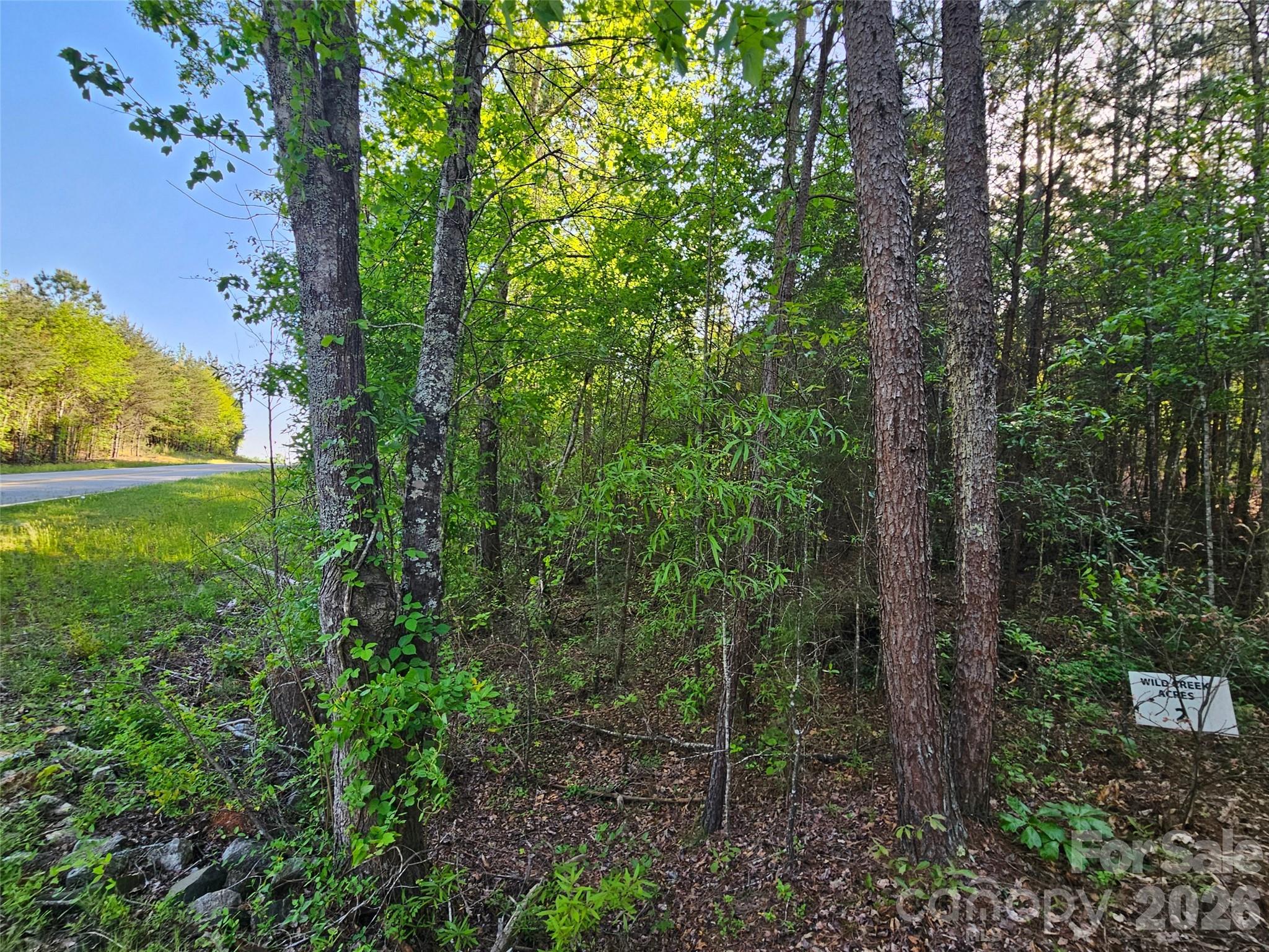 0 Old Hollis Road, Unit 2 Ellenboro, NC 28040 - Photo 6 of 15