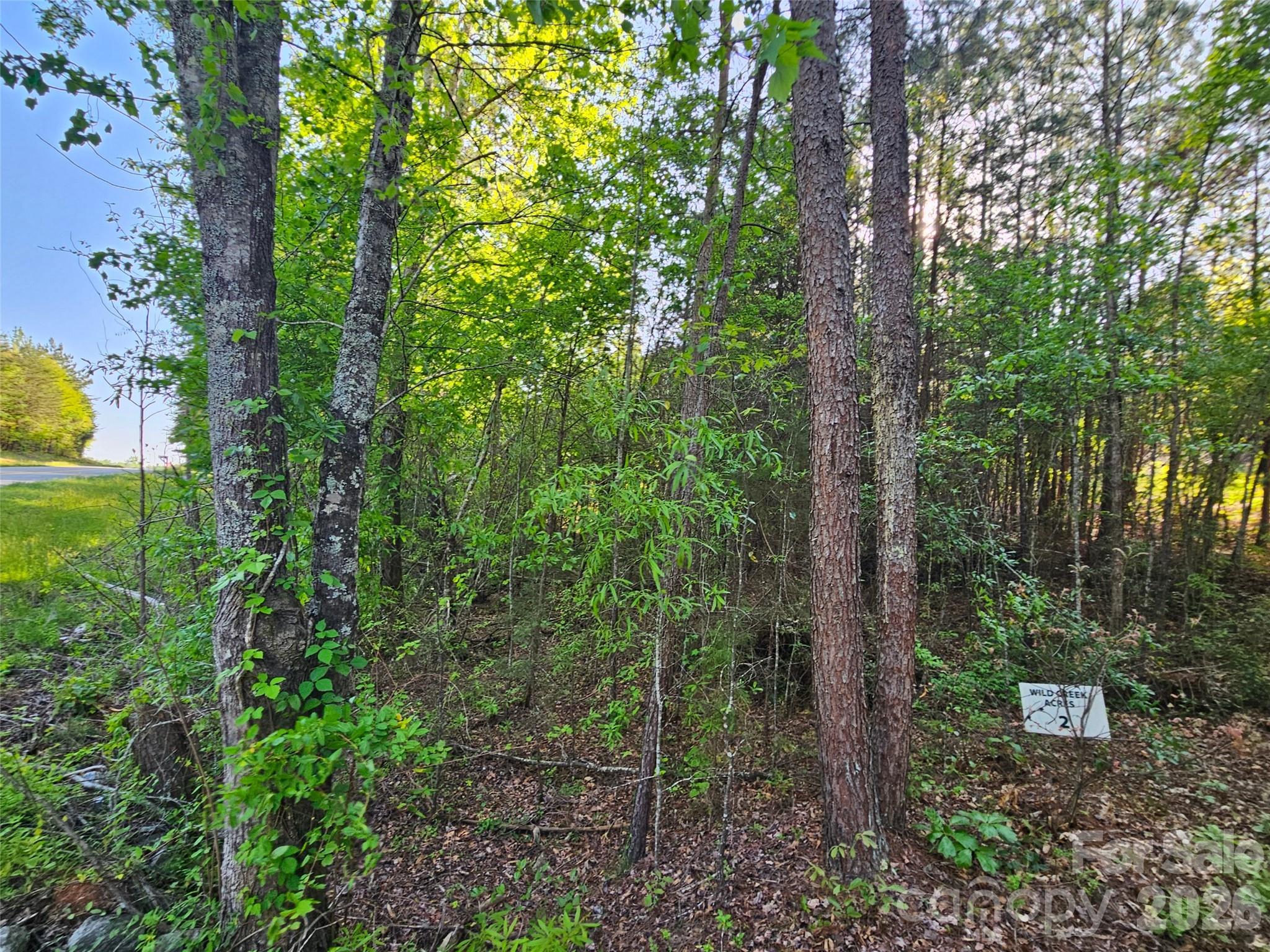 0 Old Hollis Road, Unit 2 Ellenboro, NC 28040 - Photo 9 of 15