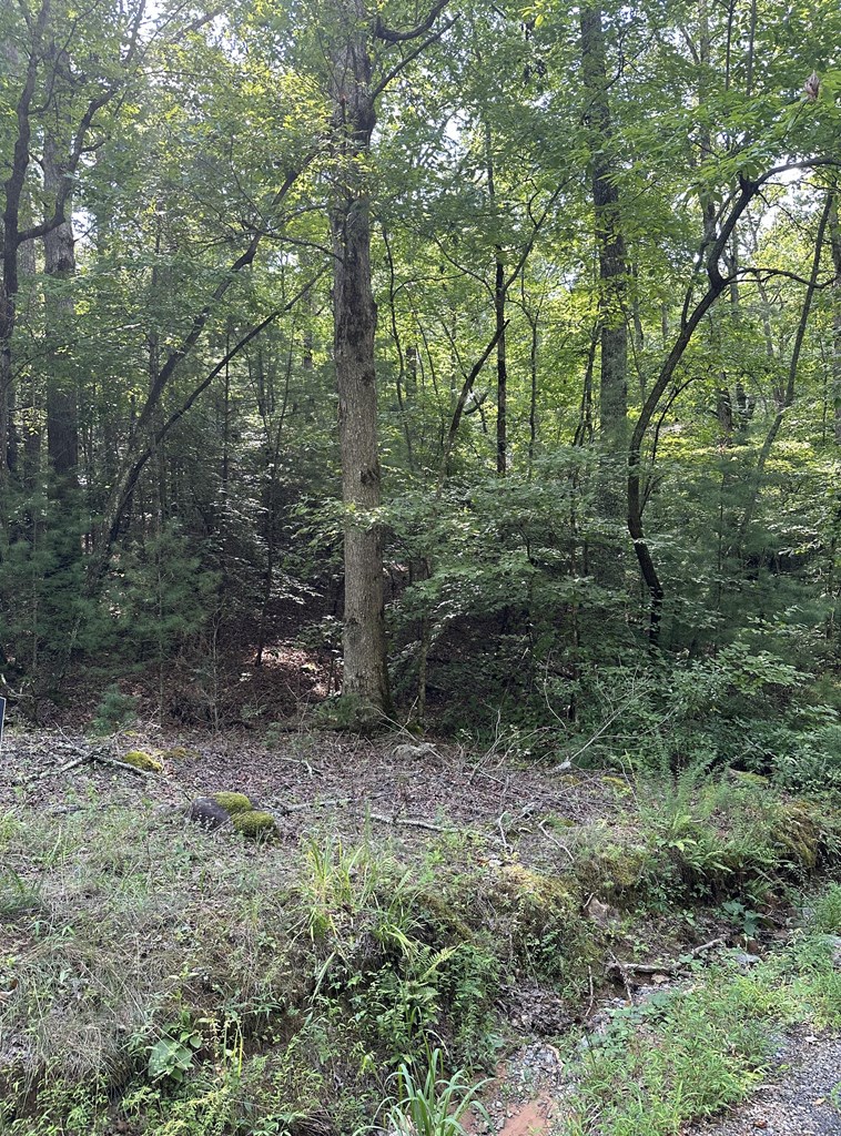 Lot 29 Owltown Road Ellijay, GA 30536 - Photo 2 of 5 Road frontage