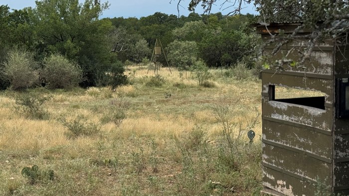 159 Mormon Creek Road Doss, TX 78618 - Photo 16 of 29