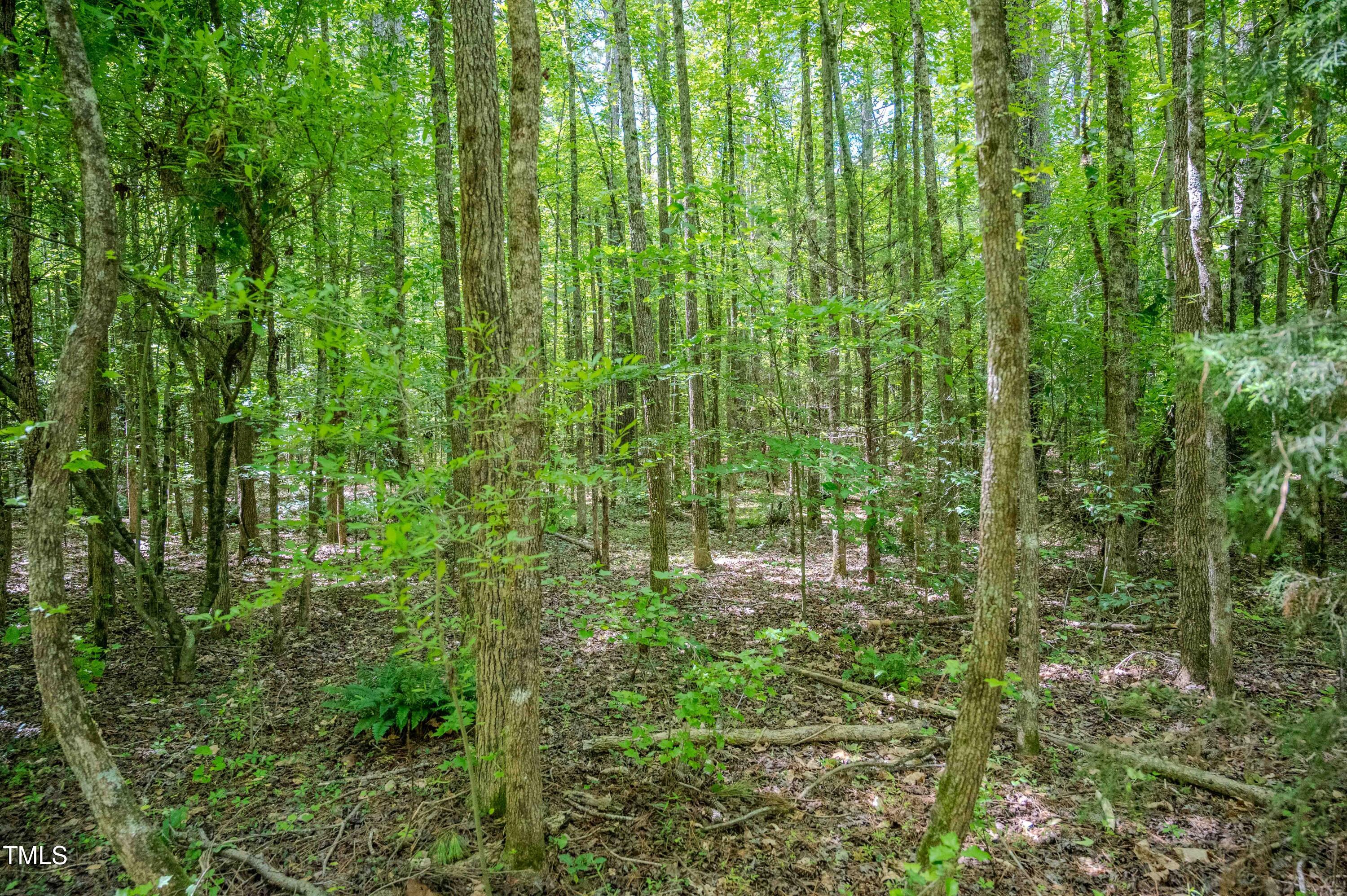 1 Covered Bridge Road Zebulon, NC 27597 - Photo 18 of 53 18