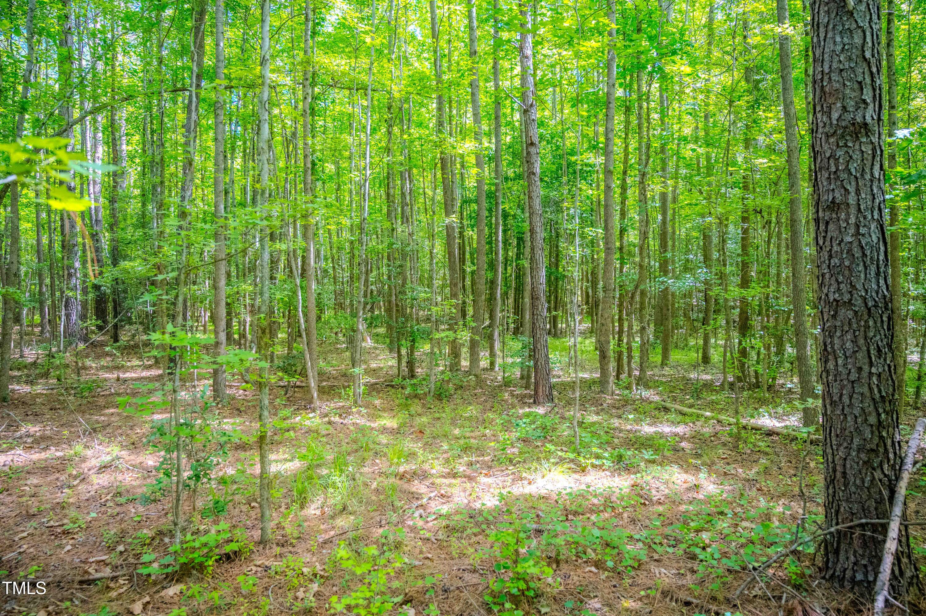 1 Covered Bridge Road Zebulon, NC 27597 - Photo 19 of 53 19